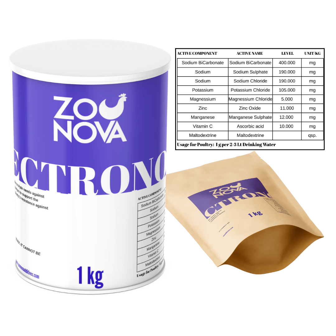 Electronova